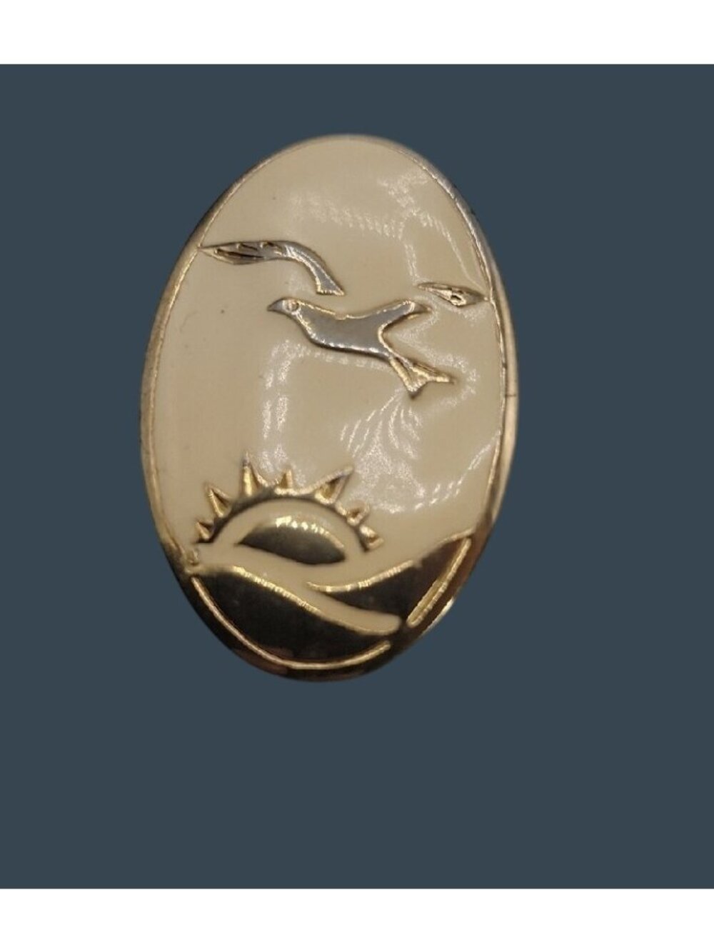 Bird In Flight Over Sunset Brooch Pin Cream Enamel Gold Tone Coastal Aviation